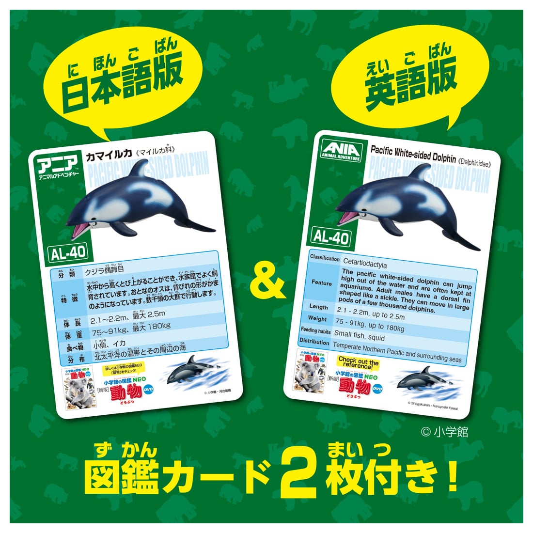 Takara Tomy Ania AL-40 Pacific White-Sided Dolphin with diver (Floating Version)