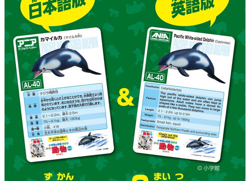 Load image into Gallery viewer, Takara Tomy Ania AL-40 Pacific White-Sided Dolphin with diver (Floating Version)
