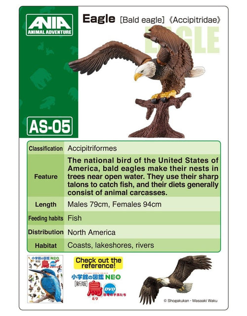 Load image into Gallery viewer, Takara Tomy ANIA Animal AS-05 Bald Eagle Mini Action Figure Eductional Toy Japan
