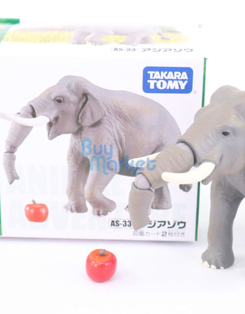 Load image into Gallery viewer, Takara Tomy ANIA Animal Advantage AS-33 Indian Elephant Action figure Model
