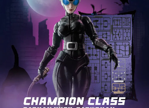 Load image into Gallery viewer, Blokees DC Champion Class 06 CC06 Batman Hush - Catwoman Model Kit Figure
