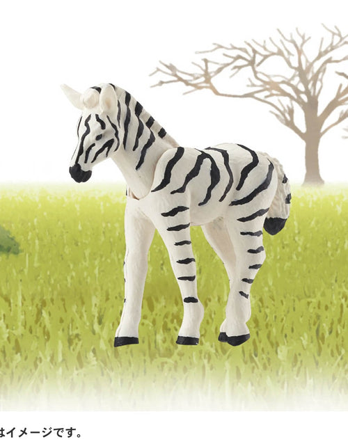 Load image into Gallery viewer, Takara Tomy ANIA animal Action Mini Figure - AC-08 Zebra (Child)

