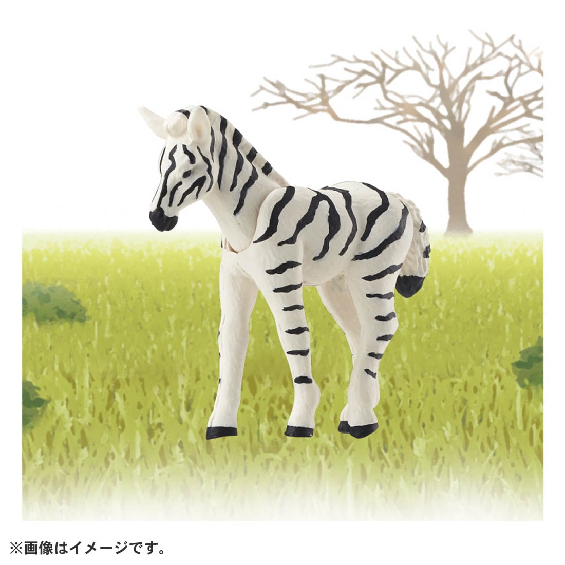 Takara Tomy ANIA animal Action Mini Figure - AC-08 Zebra (Child)