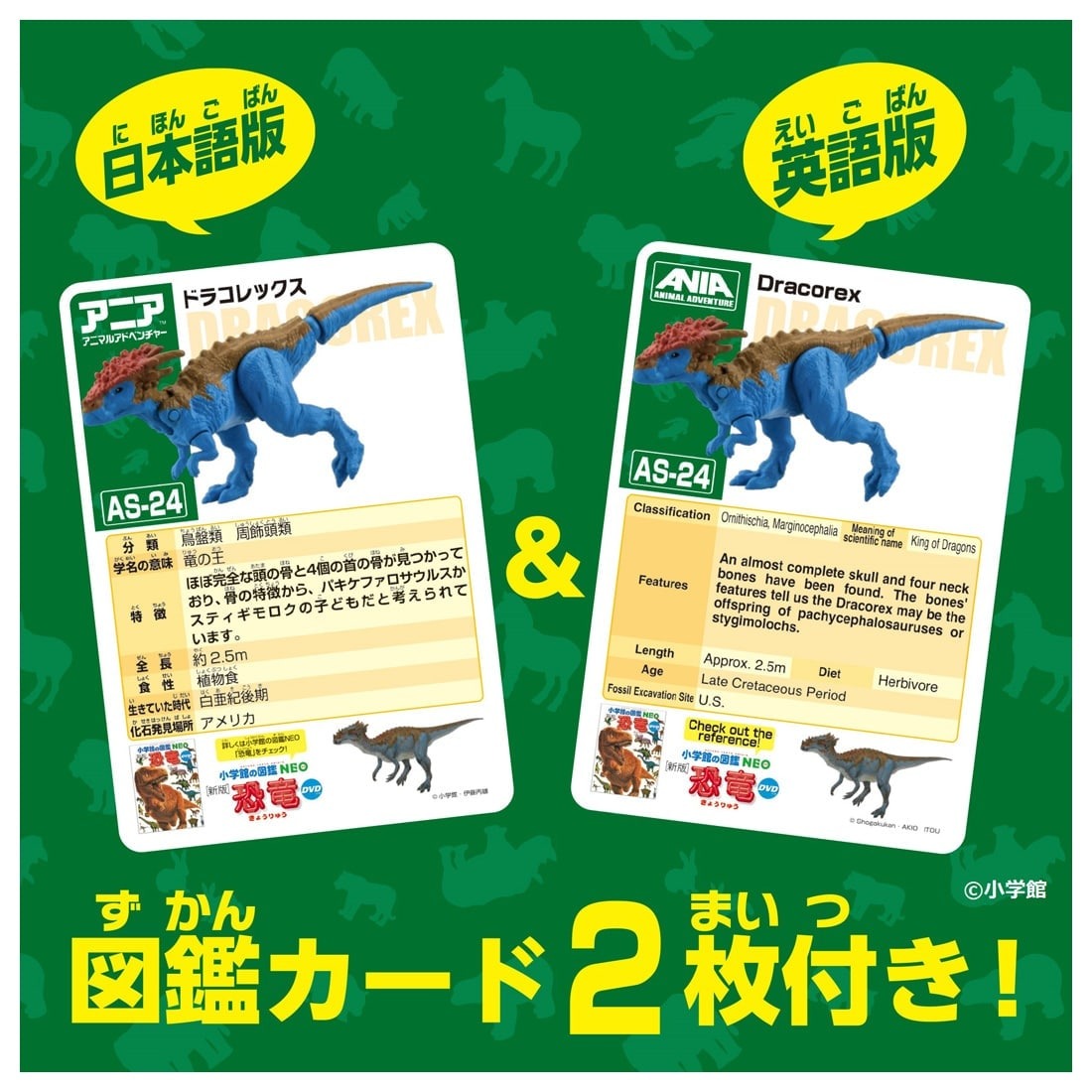 Takara Tomy ANIA Animal Adventure Action Figure AS-24 Dracorex Dinosaur 5CM