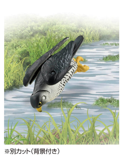 Load image into Gallery viewer, Takara Tomy ANIA animal Action Figure - AS-44 Peregrine Falcon
