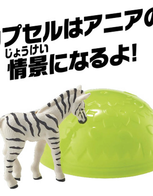 Load image into Gallery viewer, Takara Tomy ANIA animal Action Mini Figure - AC-08 Zebra (Child)
