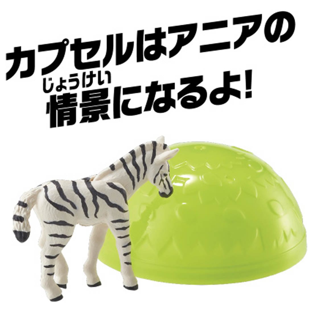 Takara Tomy ANIA animal Action Mini Figure - AC-08 Zebra (Child)