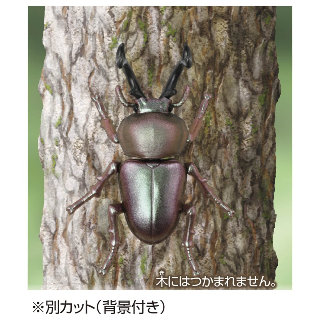Takara Tomy ANIA animal Action Figure - AS-42 Phalacrognathus Muelleri