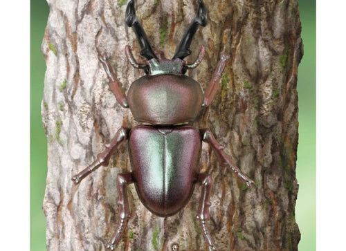 Load image into Gallery viewer, Takara Tomy ANIA animal Action Figure - AS-42 Phalacrognathus Muelleri
