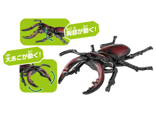 Load image into Gallery viewer, Takara Tomy ANIA animal Action Figure - AS-43 Prosopocoilus Inclinatus
