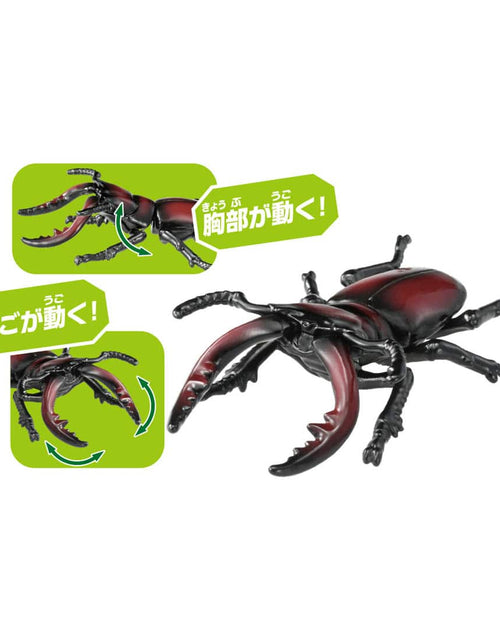 Load image into Gallery viewer, Takara Tomy ANIA animal Action Figure - AS-43 Prosopocoilus Inclinatus
