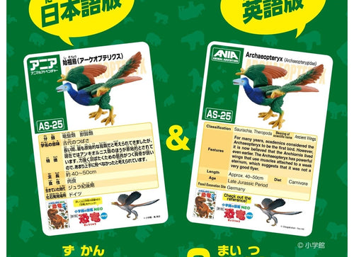 Load image into Gallery viewer, Takara Tomy ANIA Animal Adventure Mini Action Figure AS-25 Archaeopteryx
