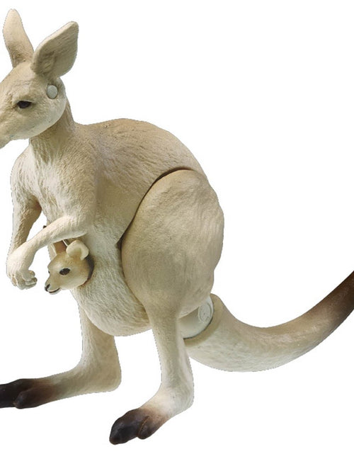 Load image into Gallery viewer, Takara Tomy ANIA AS-21 Kangaroo animal Action Figure
