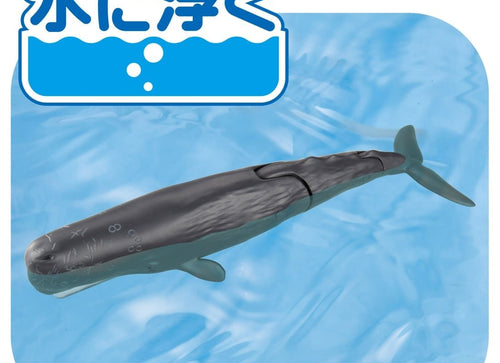 Load image into Gallery viewer, Takara Tomy Ania AL-34 Sperm Whale (Floating Version) Animal Figure
