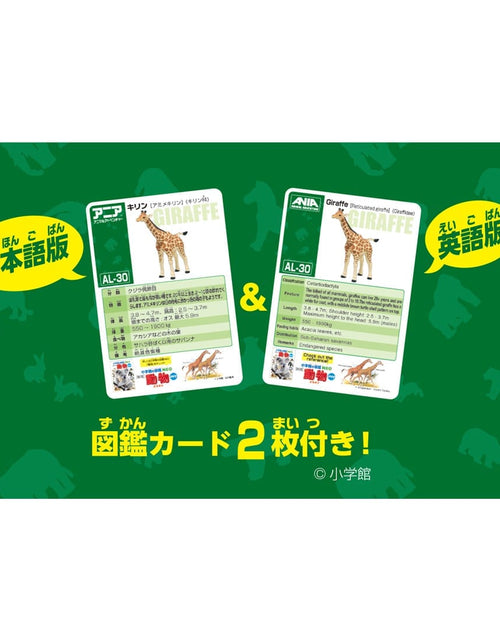 Load image into Gallery viewer, Takara Tomy Ania AL-30 Giraffe (Reticulated Giraffe) Animal Figure
