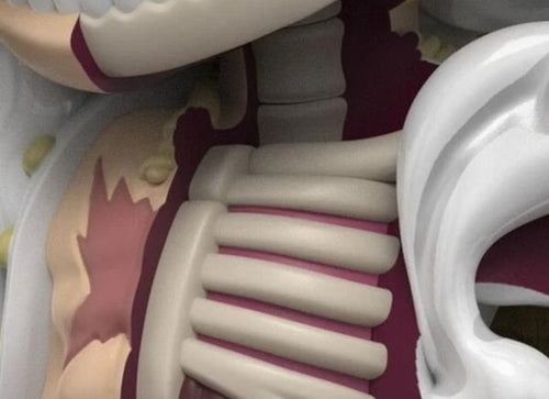 Load image into Gallery viewer, Mighty Jaxx Vinyl Art Toy XXRAY PLUS: Luffy Gear 5 Edition 8" Figure
