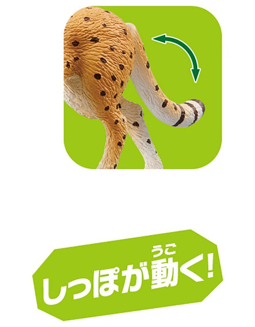 Load image into Gallery viewer, Takara Tomy ANIA Animal AS-13 Cheetah (Wild ver.) Mini Action Figure Toy Japan
