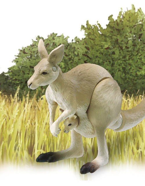 Load image into Gallery viewer, Takara Tomy ANIA AS-21 Kangaroo animal Action Figure
