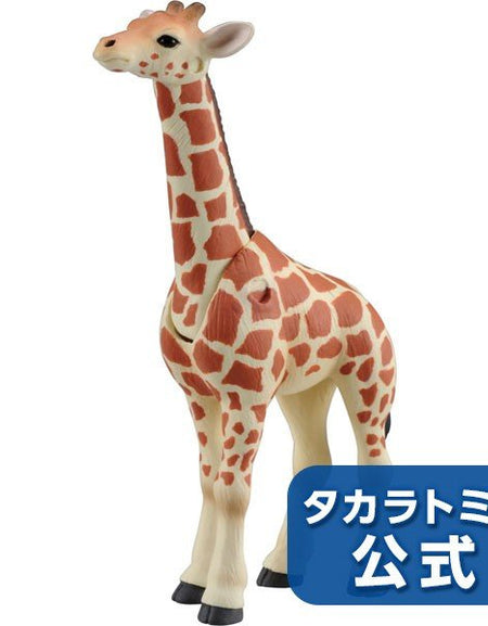 Takara Tomy ANIA Animal Action Figure AS-12 Reticulated Giraffe Kid Version