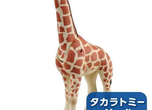 Load image into Gallery viewer, Takara Tomy ANIA Animal Action Figure AS-12 Reticulated Giraffe Kid Version
