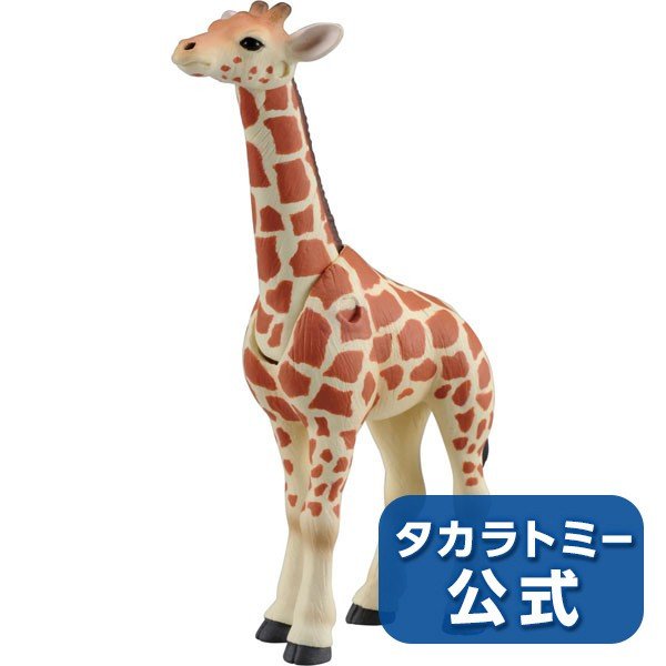 Takara Tomy ANIA Animal Action Figure AS-12 Reticulated Giraffe Kid Version