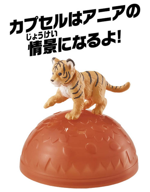 Load image into Gallery viewer, Takara Tomy ANIA animal Action Mini Figure - AC-07 Tiger Cub (Child)
