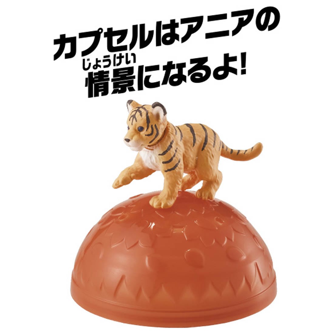 Takara Tomy ANIA animal Action Mini Figure - AC-07 Tiger Cub (Child)