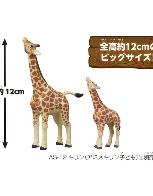 Load image into Gallery viewer, Takara Tomy Ania AL-30 Giraffe (Reticulated Giraffe) Animal Figure
