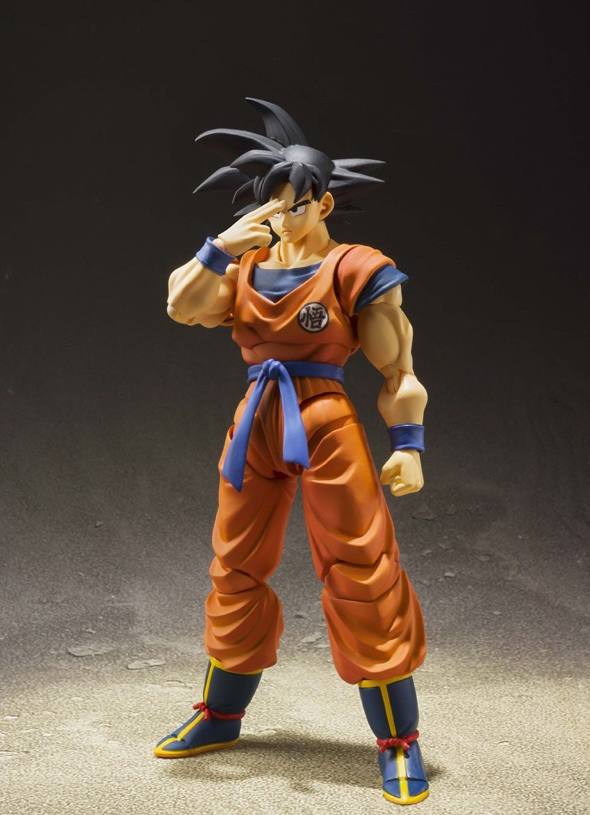 Bandai S.H.Figuarts Son Goku The Saiyan Grew Up on Earth Completed Action figure