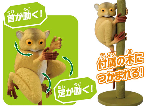 Load image into Gallery viewer, Takara Tomy ANIA animal Action Mini Figure -  AS-27 Tarsier
