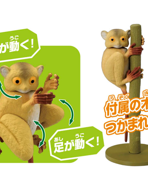 Load image into Gallery viewer, Takara Tomy ANIA animal Action Mini Figure -  AS-27 Tarsier
