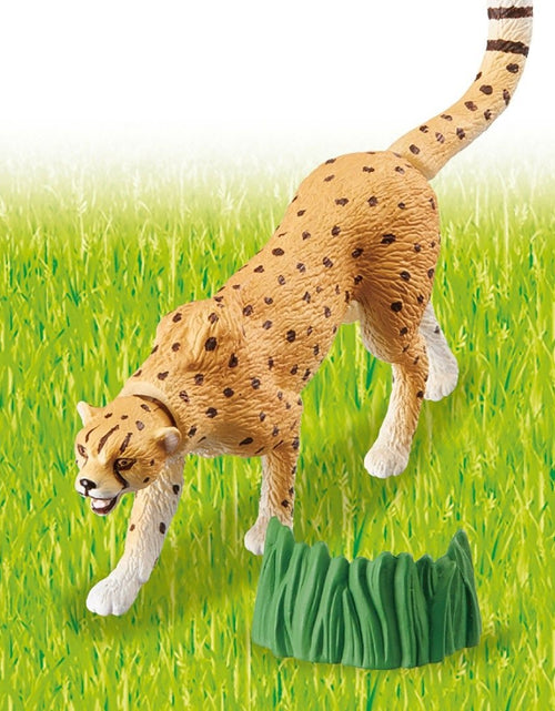 Load image into Gallery viewer, Takara Tomy ANIA Animal AS-13 Cheetah (Wild ver.) Mini Action Figure Toy Japan
