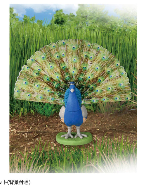 Load image into Gallery viewer, Takara Tomy ANIA animal Action Mini Figure -  AS-16 Peacock
