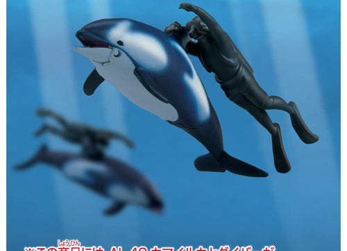 Load image into Gallery viewer, Takara Tomy Ania AL-40 Pacific White-Sided Dolphin with diver (Floating Version)
