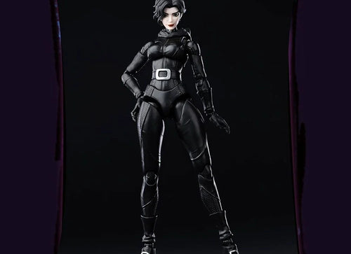 Load image into Gallery viewer, Blokees DC Champion Class 06 CC06 Batman Hush - Catwoman Model Kit Figure
