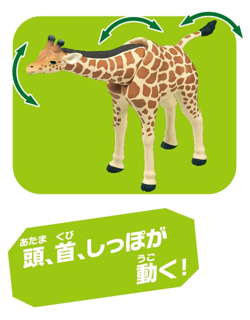 Load image into Gallery viewer, Takara Tomy Ania AL-30 Giraffe (Reticulated Giraffe) Animal Figure
