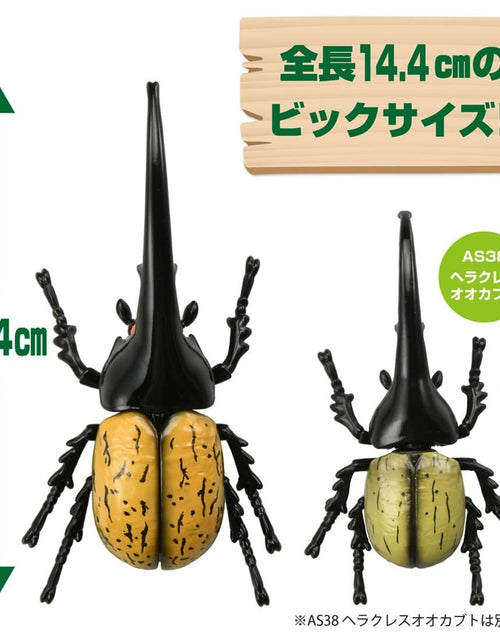 Load image into Gallery viewer, Takara Tomy ANIA AL-17 Dynastes Hercules Beetle Insects Figure 15cm

