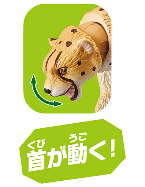 Load image into Gallery viewer, Takara Tomy ANIA Animal AS-13 Cheetah (Wild ver.) Mini Action Figure Toy Japan
