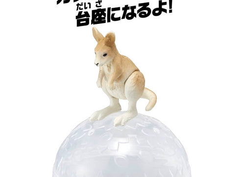 Load image into Gallery viewer, Takara Tomy ANIA animal Action Mini Figure - AC-05 Kangaroo (Child)
