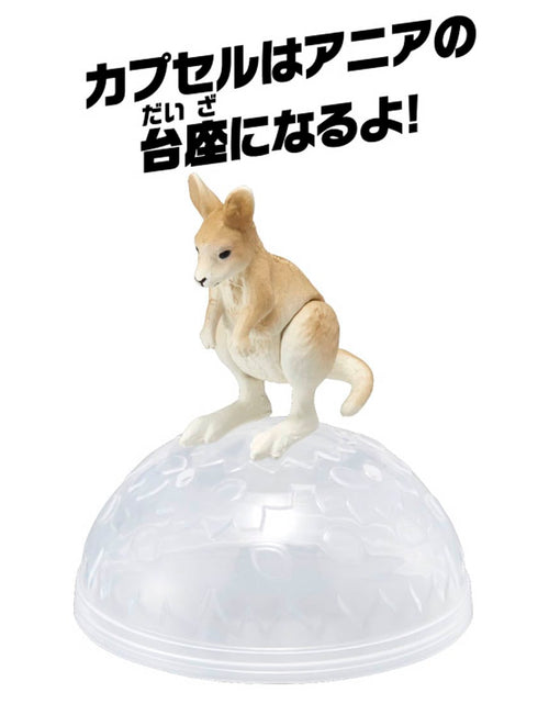 Load image into Gallery viewer, Takara Tomy ANIA animal Action Mini Figure - AC-05 Kangaroo (Child)
