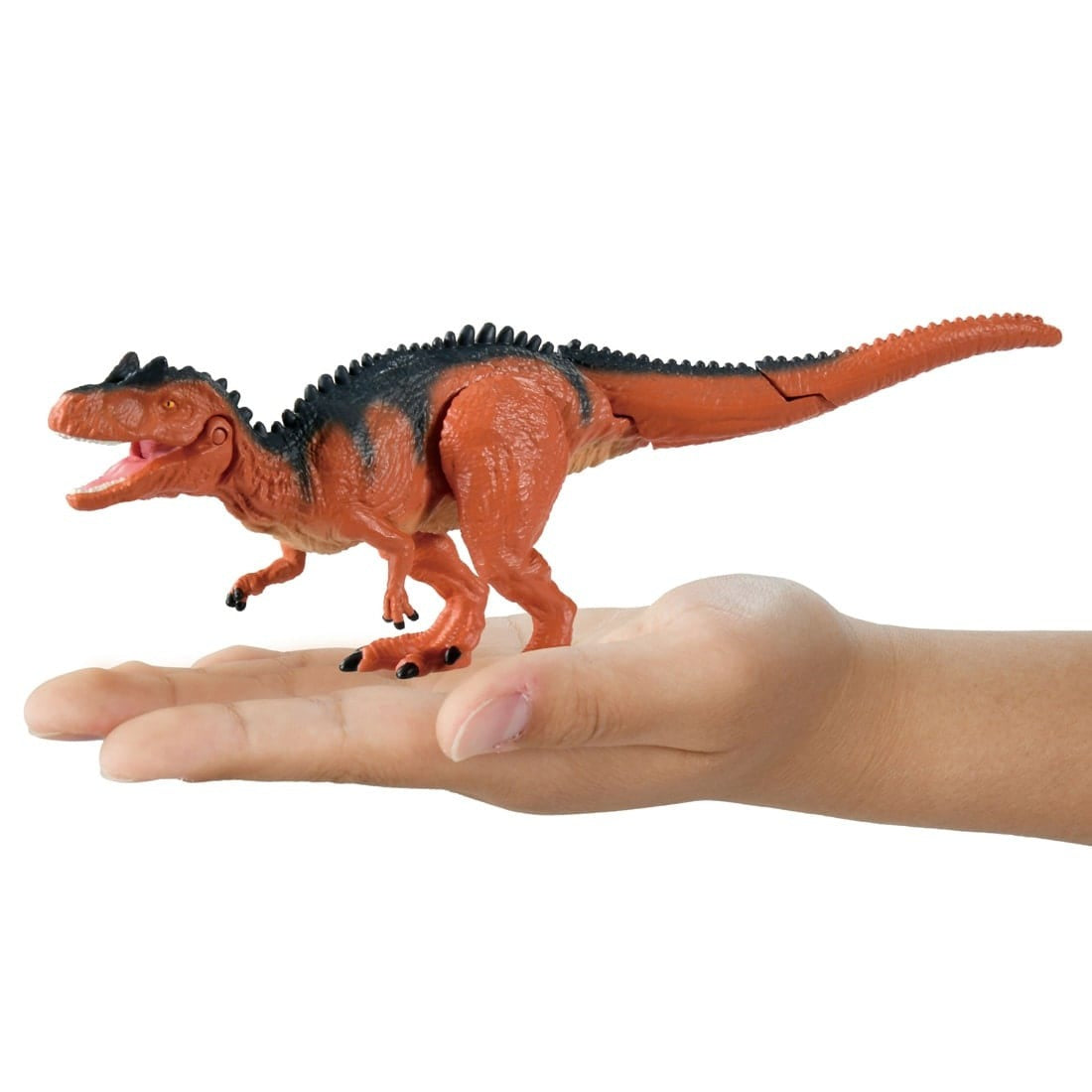 Takara Tomy ANIA Animal Action Figure AL-19 Dinosaurs Allosaurus figure
