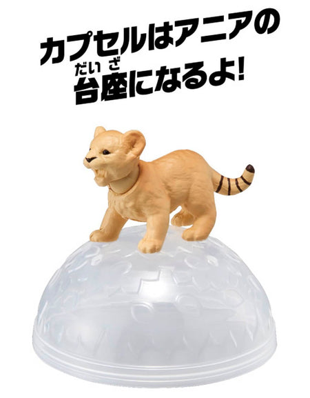 Takara Tomy ANIA animal Action Mini Figure - AC-01 Lion (Child)