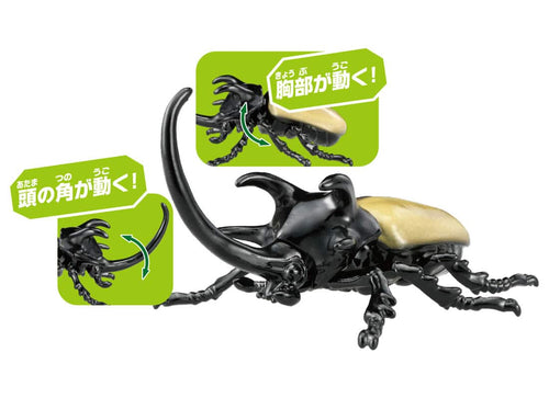 Load image into Gallery viewer, Takara Tomy ANIA animal Action Figure - AS-41 Eupatorus Gracilicornis
