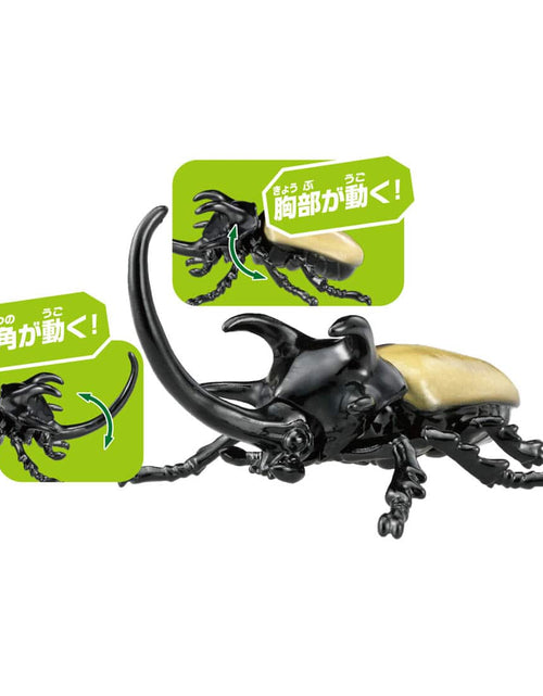 Load image into Gallery viewer, Takara Tomy ANIA animal Action Figure - AS-41 Eupatorus Gracilicornis
