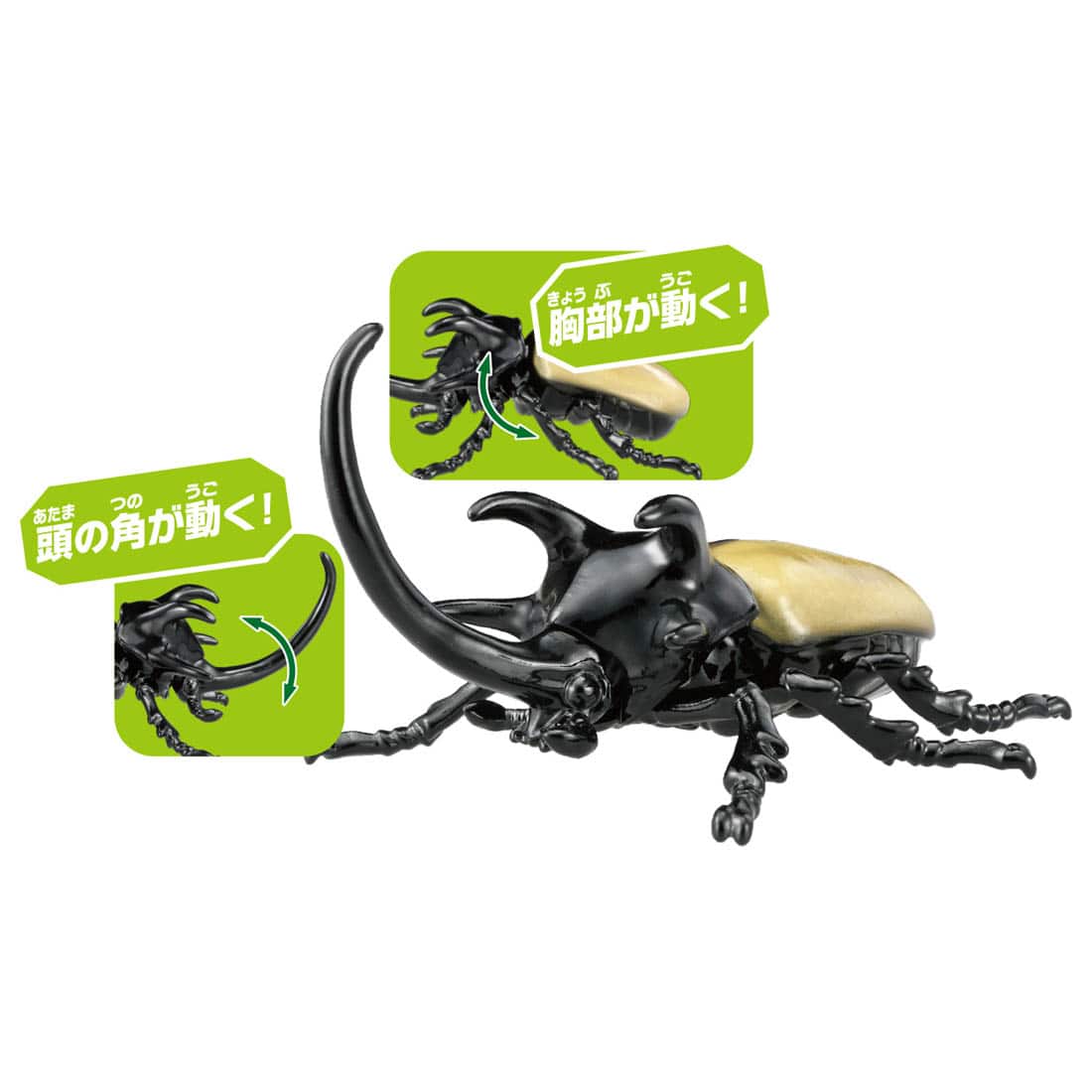 Takara Tomy ANIA animal Action Figure - AS-41 Eupatorus Gracilicornis