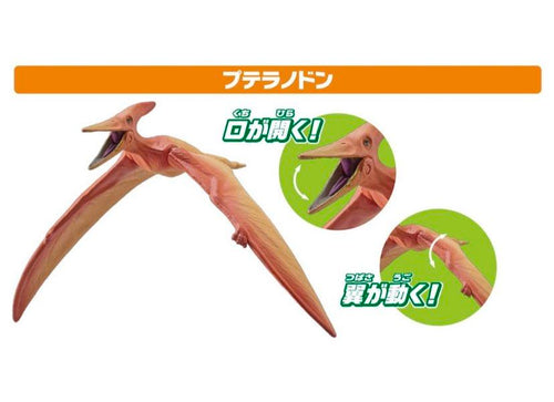 Load image into Gallery viewer, Takara Tomy ANIA Animal AA-03 Land and Sky Dinosaur Action Figures Set

