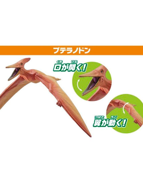 Load image into Gallery viewer, Takara Tomy ANIA Animal AA-03 Land and Sky Dinosaur Action Figures Set
