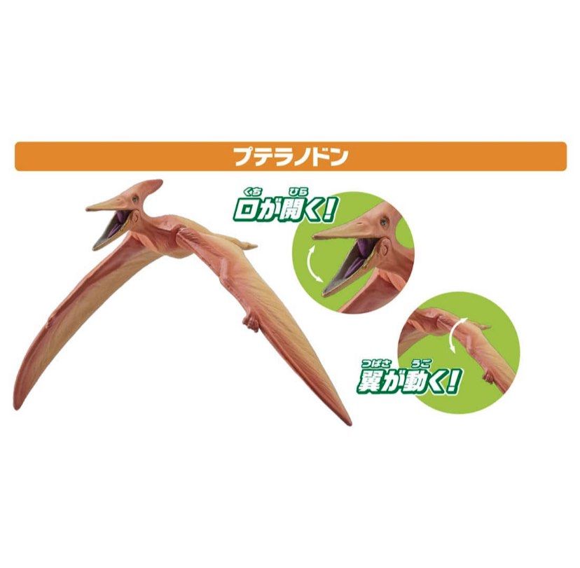 Takara Tomy ANIA Animal AA-03 Land and Sky Dinosaur Action Figures Set