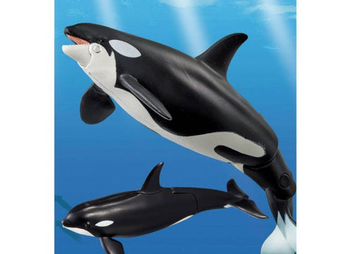 Load image into Gallery viewer, Takara Tomy ANIA Animal AL-08 Killer Whale Parent-Child Action Figure
