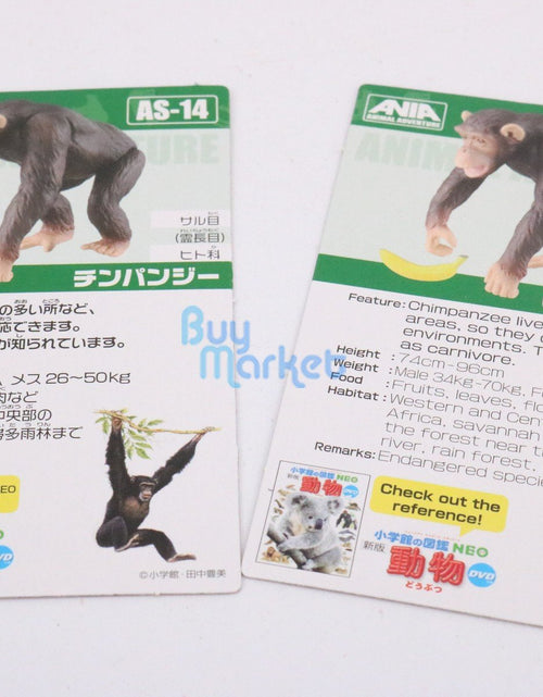 Load image into Gallery viewer, Takara Tomy ANIA Animal Advantage AS-14 Chimpanzee Action Figure Model Japan
